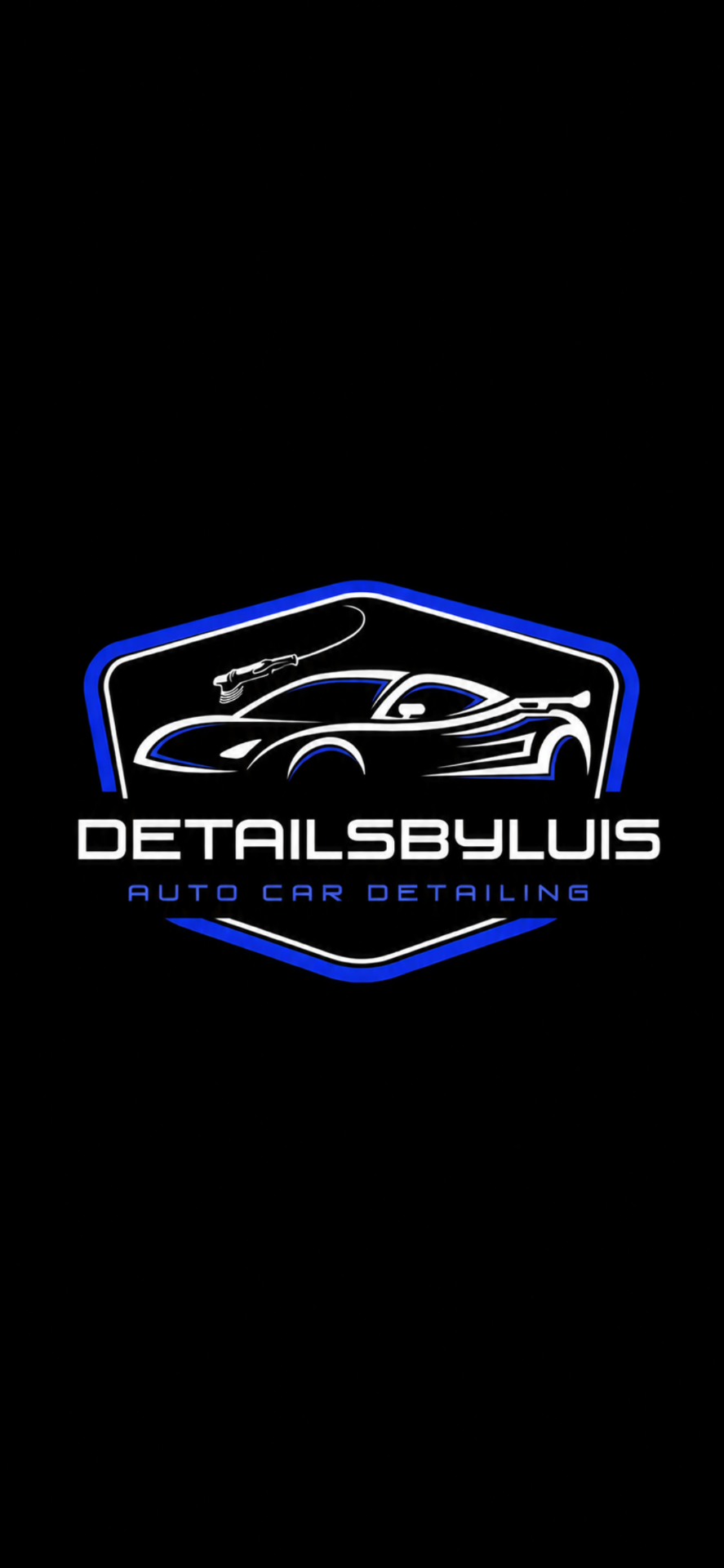Details By Luis Auto Detailing logo